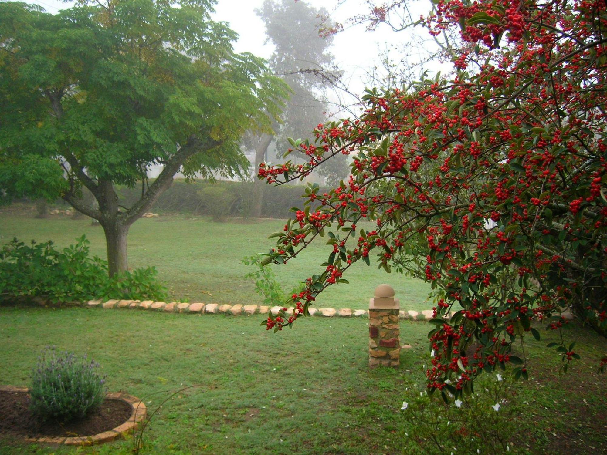 Dempsey'S Self-Catering Guest House Port Elizabeth Ngoại thất bức ảnh